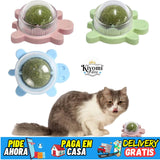 BOLITA ANTIESTRES PARA GATITOS